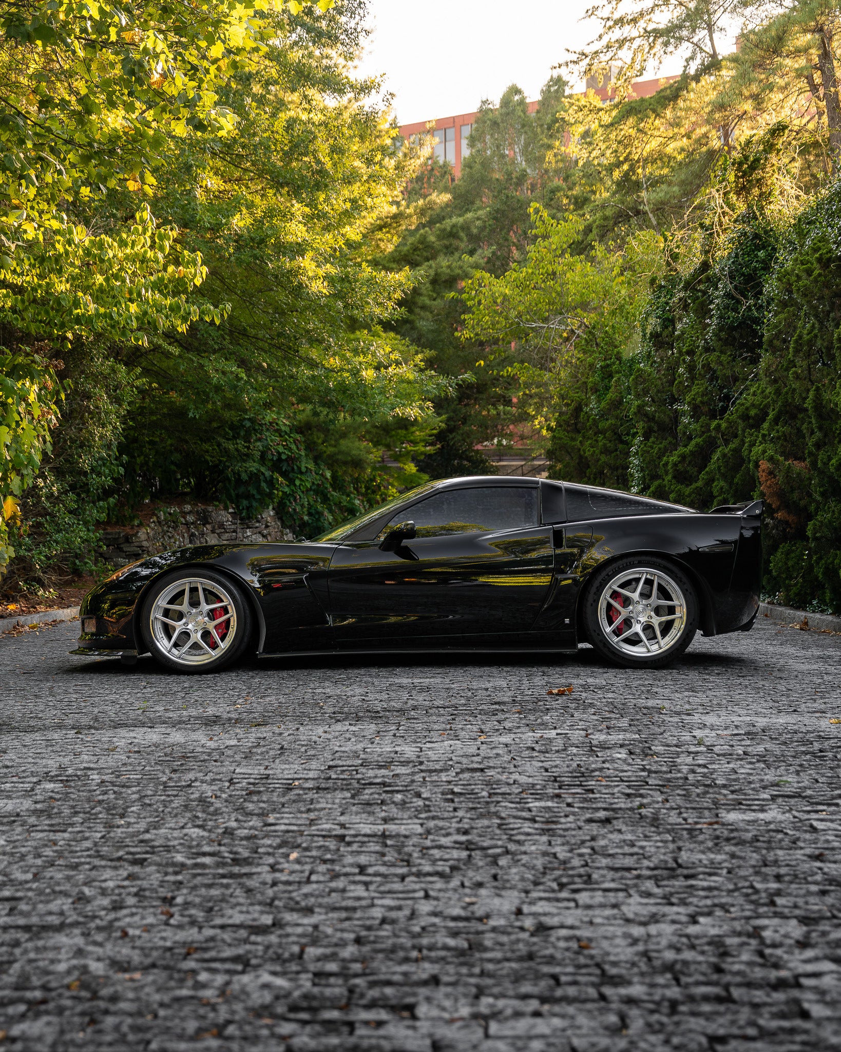 Chevrolet Corvette C6 Z06 - RLB-12 Brushed Aluminum (44).jpg