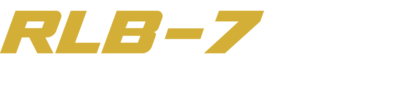 Custom image